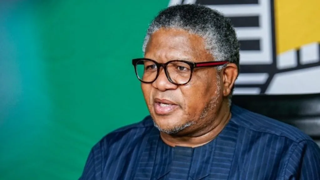 Fikile Mbalula updated net worth and salary