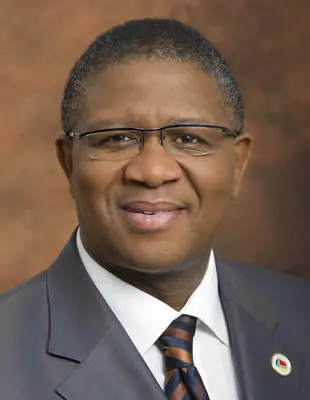 Fikile mbalula bio
