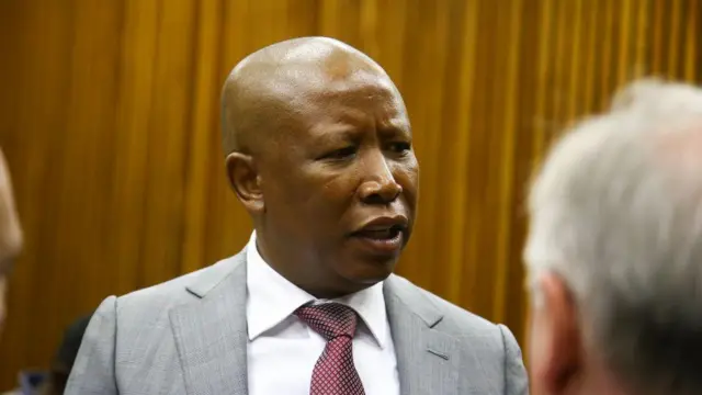 Julius Malema Gun Court Case