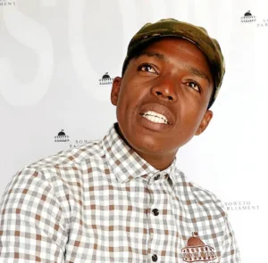 Nhlanhla Lux Career