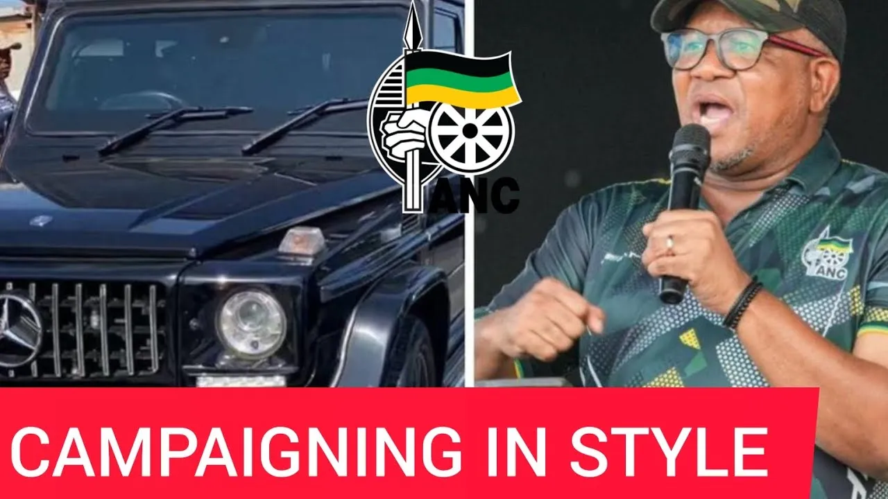 Fikile Mbalula Net Worth 2025: How Rich is He?