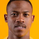 Ashley Du Preez net woth 2025