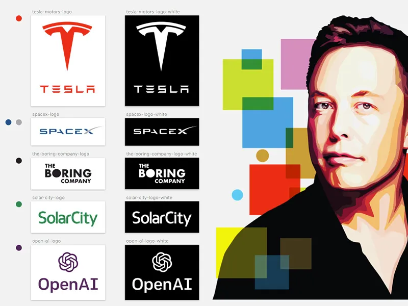 Elon Musk Other Ventures