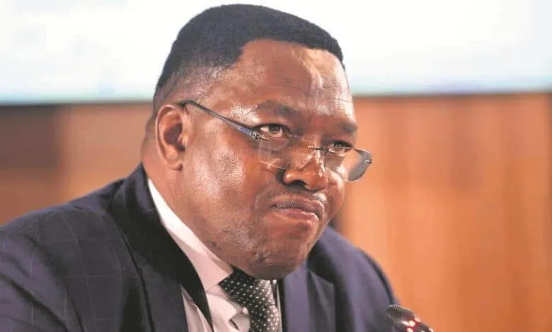 Fannie Masemola career