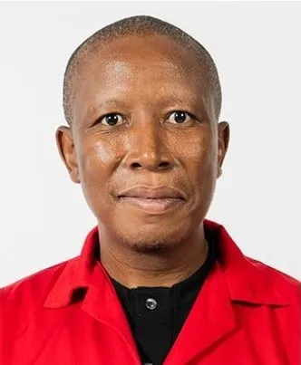Julius Malema Biography