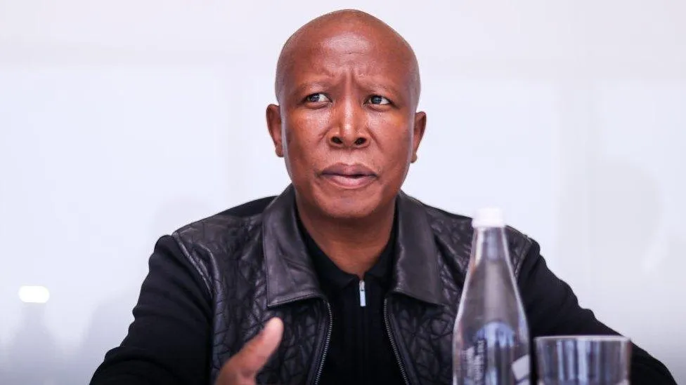 Julius Malema Political Career